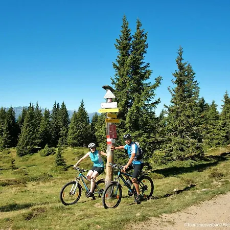 Bauernhof Gasteg - Pid230 By Interhome Apartment *